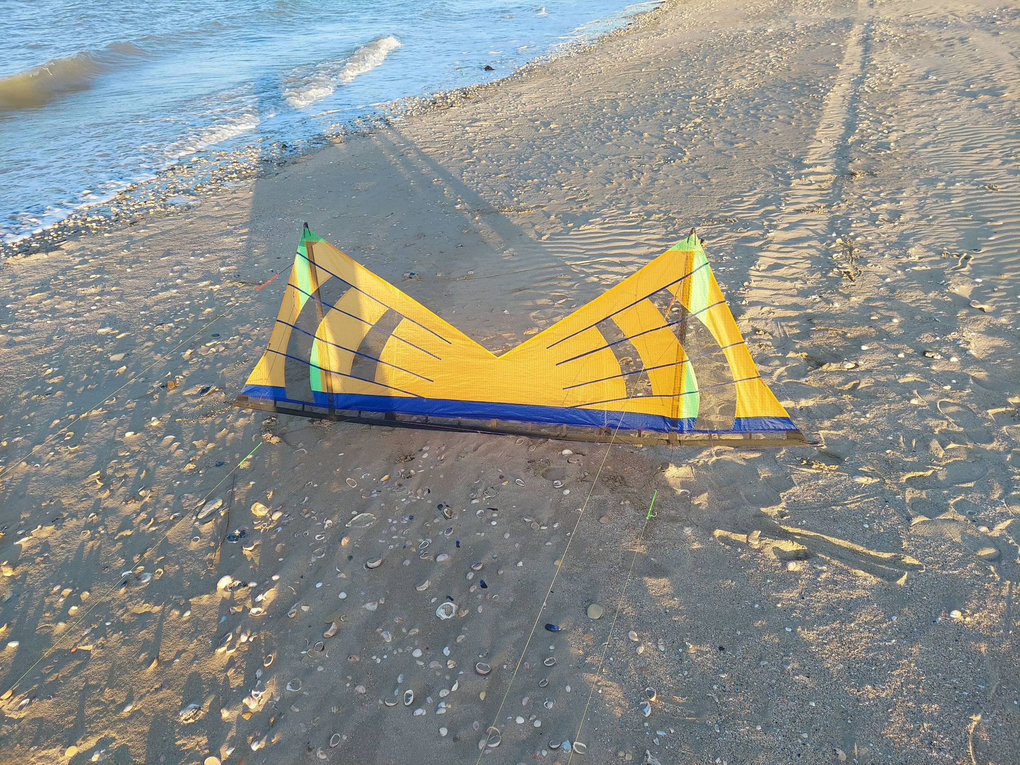 Ugly colors, great flight