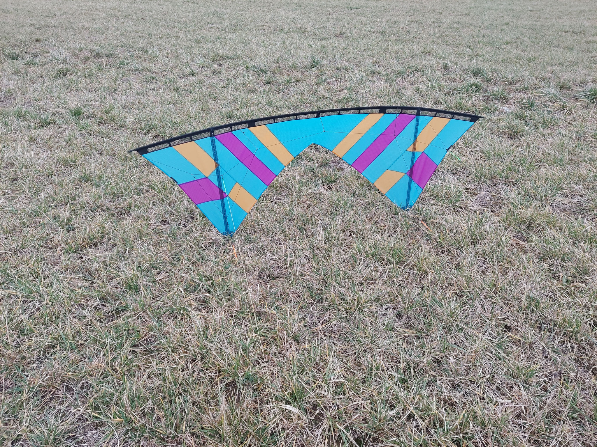 A well-flown kite